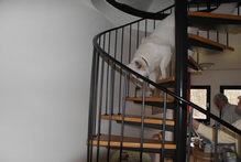 Coralie Wendeltreppe runter